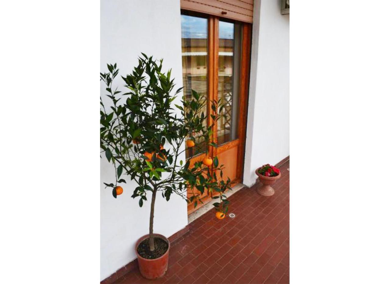 רומא Casa Celeste מראה חיצוני תמונה